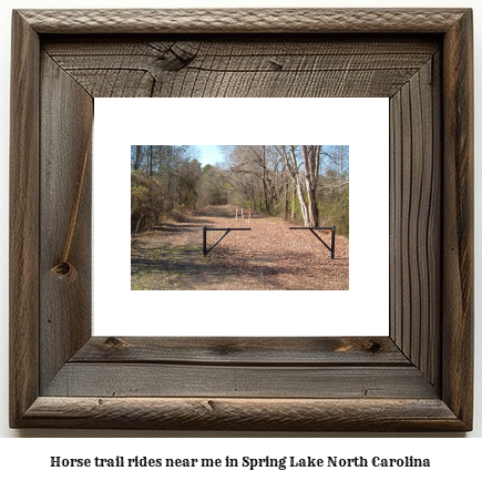 horse trail rides near me in Spring Lake, North Carolina